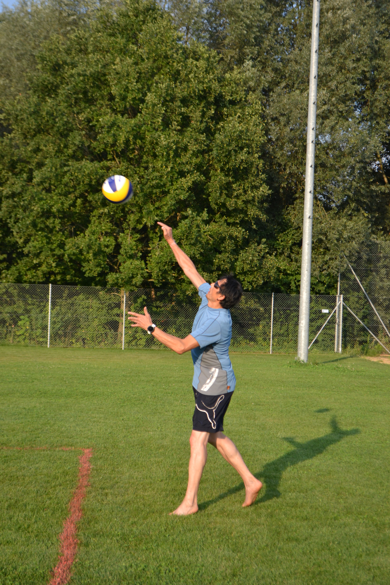 Bild (86)
